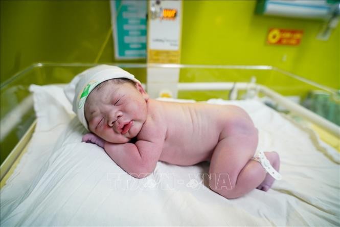 "Em bé rắn" đầu tiên của năm Ất Tỵ chào đời tại Bệnh viện Phụ sản Hà Nội lúc 0 giờ 1 phút ngày 29/1/2026 (Mùng 1 Tết Ất Tỵ). Ảnh: Khánh Hoà/TTXVN