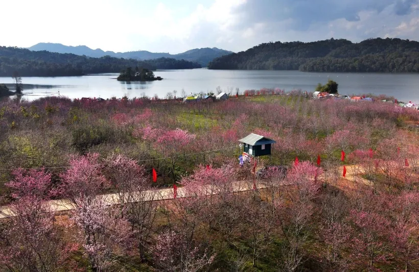 Năm Du lịch Quốc gia 2024 hướng du khách tới những “Trải nghiệm bất tận”