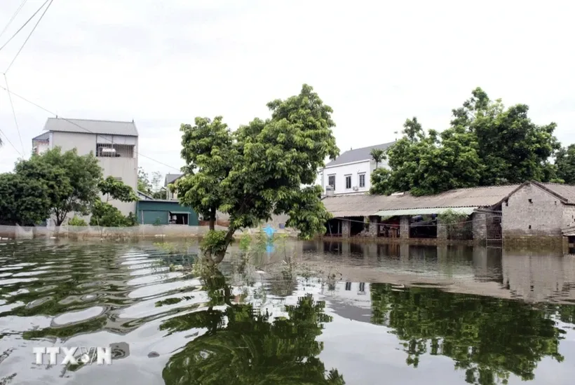 Ngập lụt do mưa lớn tại huyện Chương Mỹ, Hà Nội. Ảnh: Minh Quyết/TTXVN.