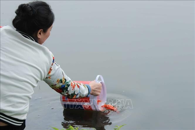 Thả cá chép, tiễn ông Công, ông Táo