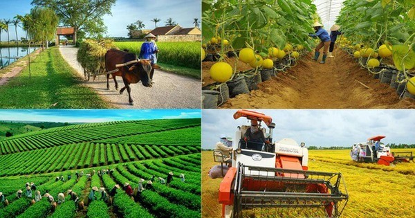 Thống kê, biên soạn số liệu GDP kinh tế tập thể