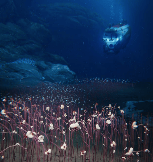 Tàu lặn có người lái Fendouzhe khám phá hệ sinh thái dưới đáy Thái Bình Dương. (Nguồn: IDSSE)