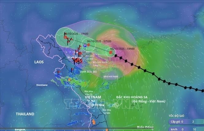 Hướng di chuyển của bão số 11. Ảnh: TTXVN.