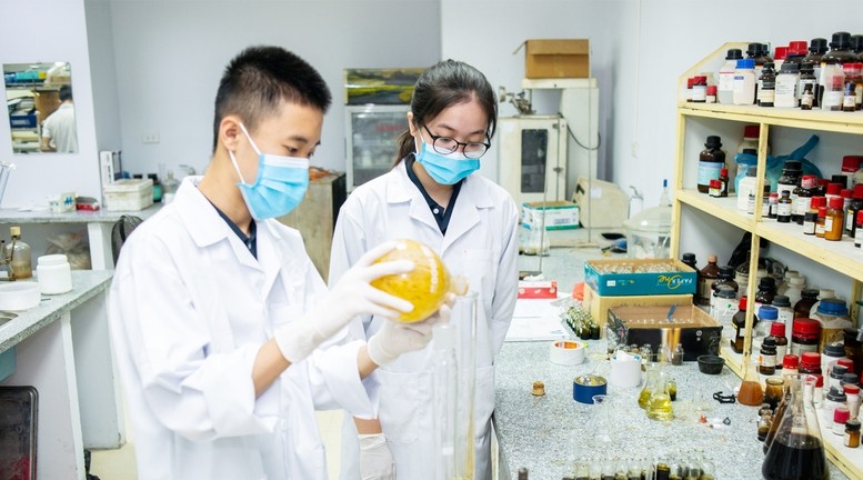 Cần đặt mục tiêu hiện đại hóa các trường đại học và phát triển các viện nghiên cứu, nhóm nghiên cứu mạnh.