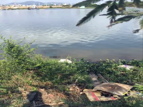 Hiện trường nơi phát hiện vụ việc.