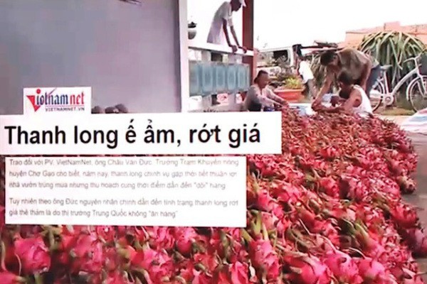 Nông sản ứ đọng, rớt giá mạnh.