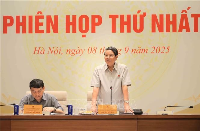 Phó Chủ tịch Quốc hội Nguyễn Đức Hải phát biểu. Ảnh: An Đăng/TTXVN