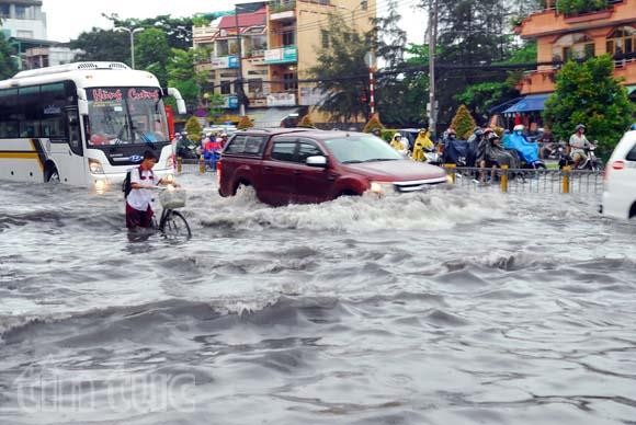 TP.HCM tiếp tục mưa lớn, nhiều cây xanh ngã đổ đè bẹp ôtô