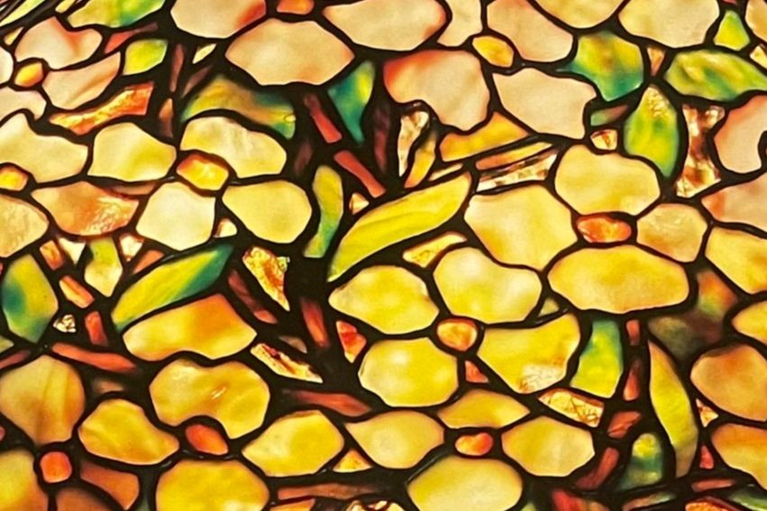 Những đóa sơn thù du chen chúc nhau mà đua nở.