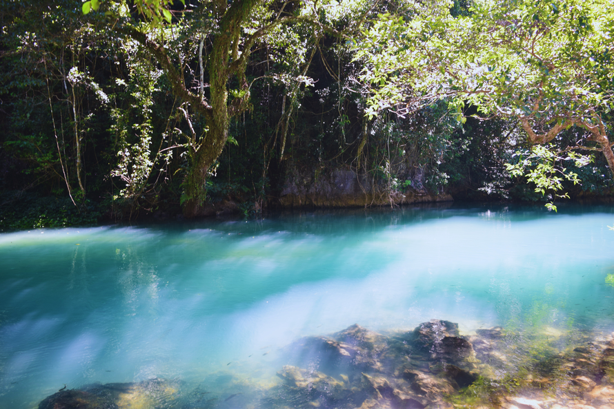 Dòng suối Lê-nin trong vắt dưới ánh nắng