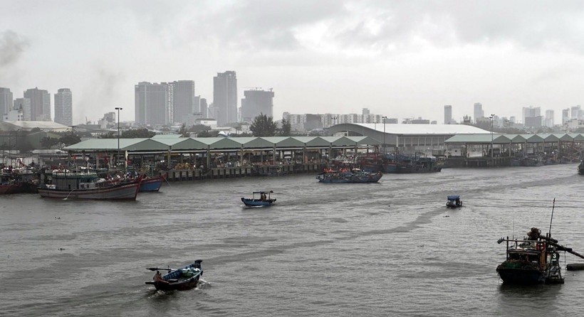 Tàu thuyền neo đậu tránh bão an toàn tại Âu thuyền Thọ Quang (Đà Nẵng).
