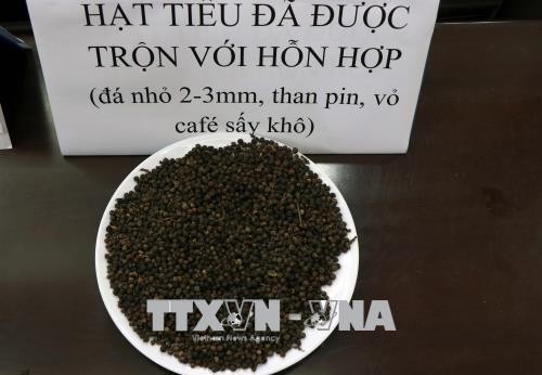 Hạt tiêu sau khi được trộn với hỗn hợp đá nhỏ 2 - 3mm, than pin, vỏ cà phê sấy khô. Ảnh: Hưng Thịnh/TTXVN