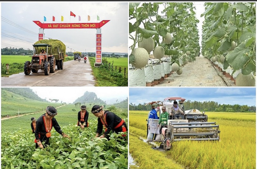 Nhiều tỉnh thành chậm giải ngân vốn đầu tư công