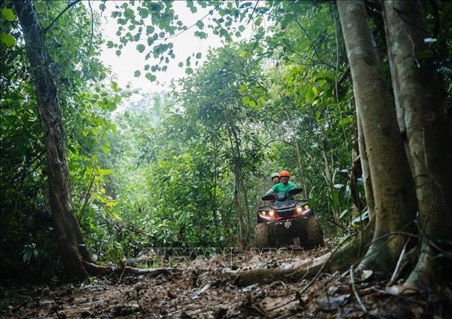 Du khách trải nghiệm sản phẩm du lịch mới “Khám phá rừng Lim - Ngôi nhà của Kong” ở Quảng Bình.