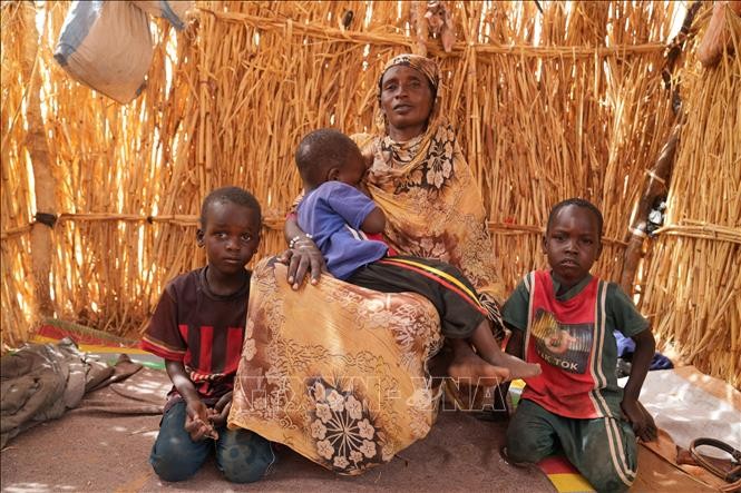 Xung đột kéo dài, nguy cơ 'mất cả một thế hệ' tại Sudan và Afghanistan