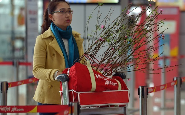 Vietjet vận chuyển mai, đào dịp tết Đinh Dậu 2017