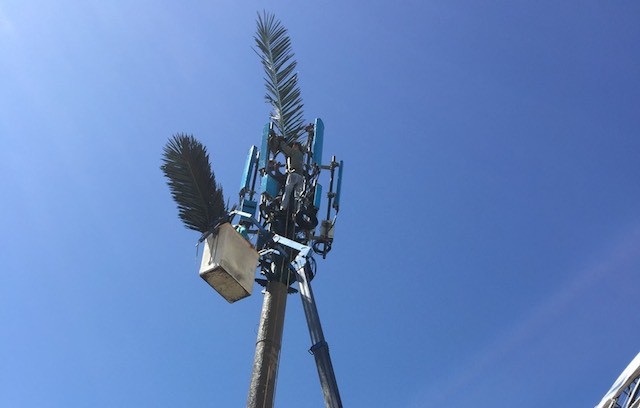 Một số vị trí trạm được thiết kế nhằm đạt tính thẩm mỹ cho khu vực tổ chức