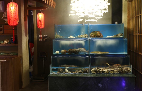 Hải sản tươi sống từ Nhật