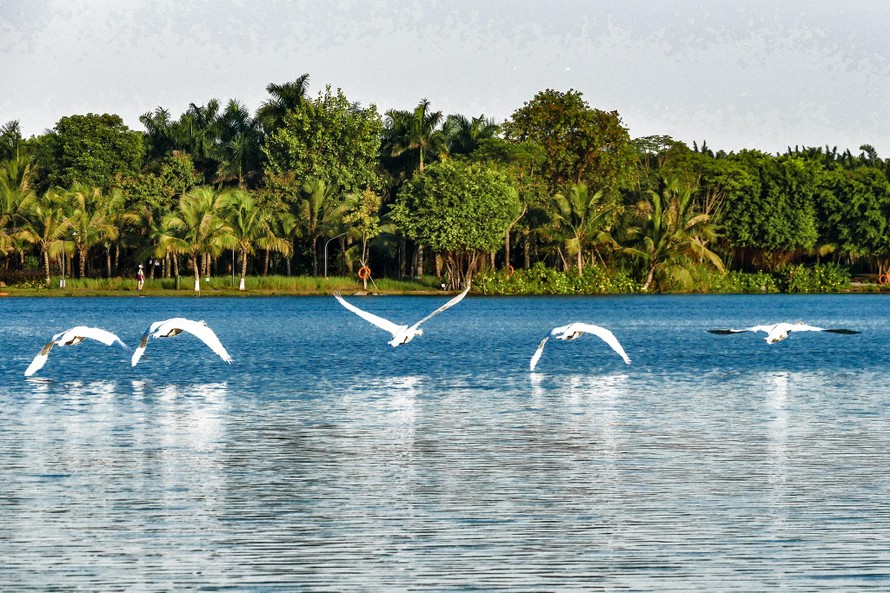 Cảnh quan đắt giá tại dự án Ecopark Grand – The Island, một trong các dự án đáng sống được bình chọn năm 2022.