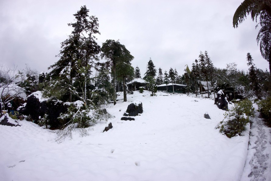 Tuyết rơi ở Sa pa ​