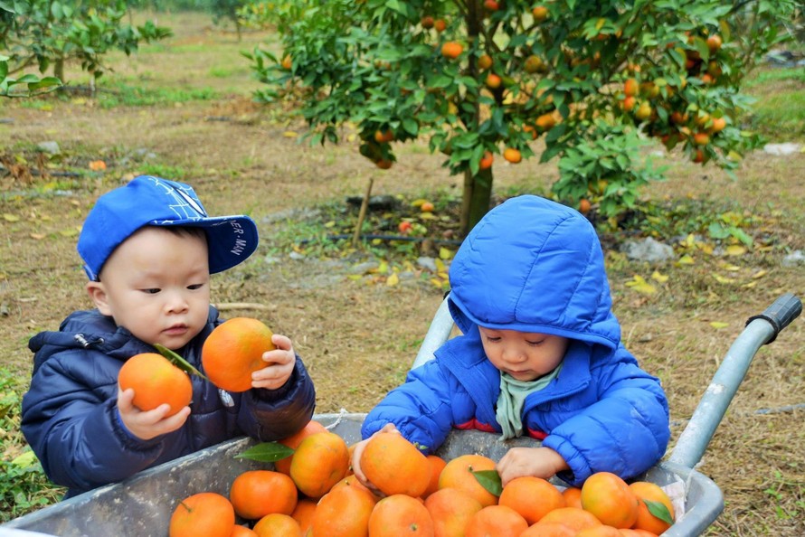 Những đứa trẻ cần có môi trường sống Xanh (Ảnh: Hồng Giang)