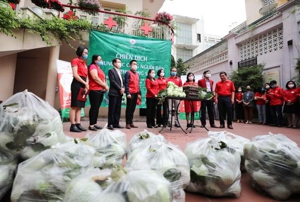 Trung ương Hội Chữ thập đỏ Việt Nam phối hợp với Nhóm Tình nguyện viên Chữ thập đỏ “Mùa Thu và những người bạn” hỗ trợ tiêu thu trên 10 tấn nông sản cho người dân vùng dịch tỉnh Hải Dương. (Ảnh: Thanh Tùng/TTXVN)