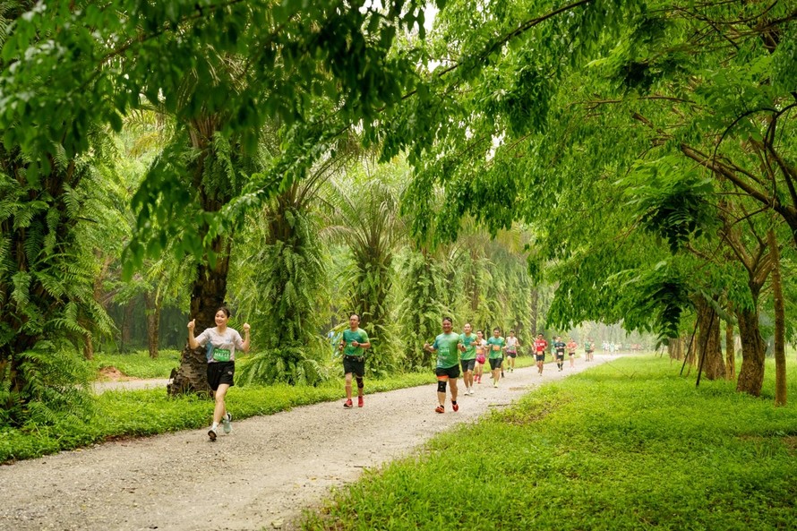 Chạy giữa miền xanh Ecopark