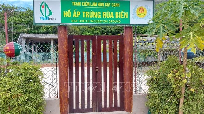 Hồ ấp trứng rùa tại Trạm Kiểm lâm Hòn Bảy Cạnh-Ban Quản lý Vườn Quốc gia Côn Đảo. Ảnh: Huỳnh Sơn-TTXVN
