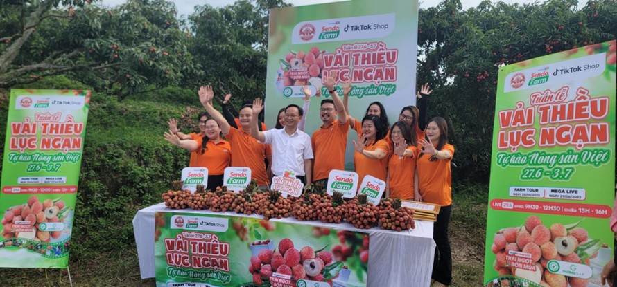 Lệ chi thuật truyện