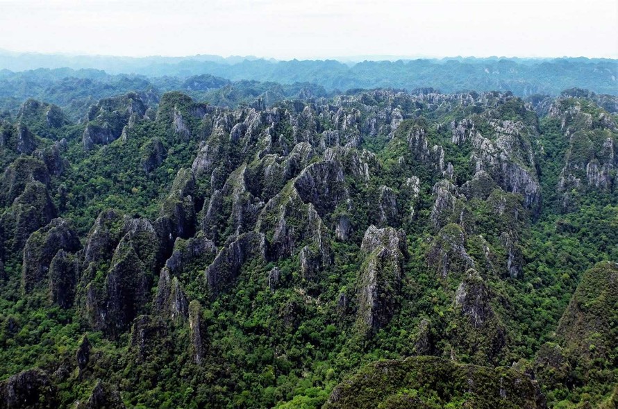 Vườn Quốc gia Phong Nha - Kẻ Bàng và Hin Nam Nô trở thành Di sản thế giới liên biên đầu tiên của Việt Nam và Lào