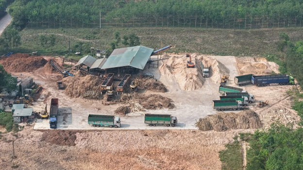 Hoạt động tại một cơ sở chế biến dăm gỗ trên địa bàn tỉnh Quảng Trị. (Ảnh: Hoàng Anh)