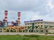 Tổng công ty Điện lực Dầu khí 