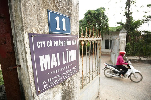 Nhiều khu vực khuôn viên Công ty Mai Lĩnh bị bỏ hoang nhưng vẫn được tính vào giá trị của AVG khi bán cho MobiFone. (Ảnh: Nam Trần)