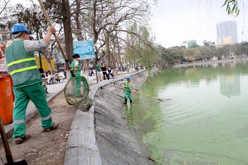 Hà Nội chi 500 triệu làm sạch nước hồ Gươm