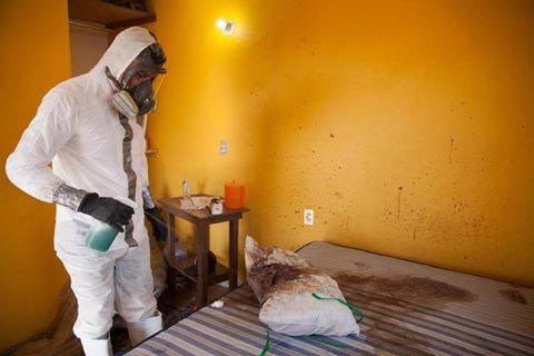 Nữ giáo viên mầm non mang bầu bị sát hại trong đêm