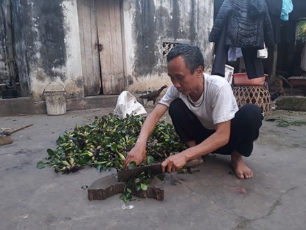 Ông Hàn Đức Long đã khỏe hơn nhiều kể từ khi ở tù ra. 