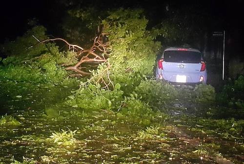 Cây đổ ngổn ngang chắn hết đường Hà Huy Tập, thành phố Vinh.