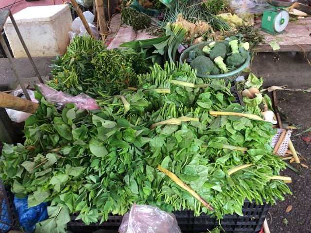 Rau mồng tơi tăng gần gấp 3 lần