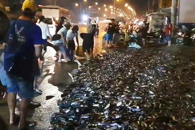 Lật xe tải chở cá trên QL 1A, người dân đổ ra đường thu gom cho tài xế