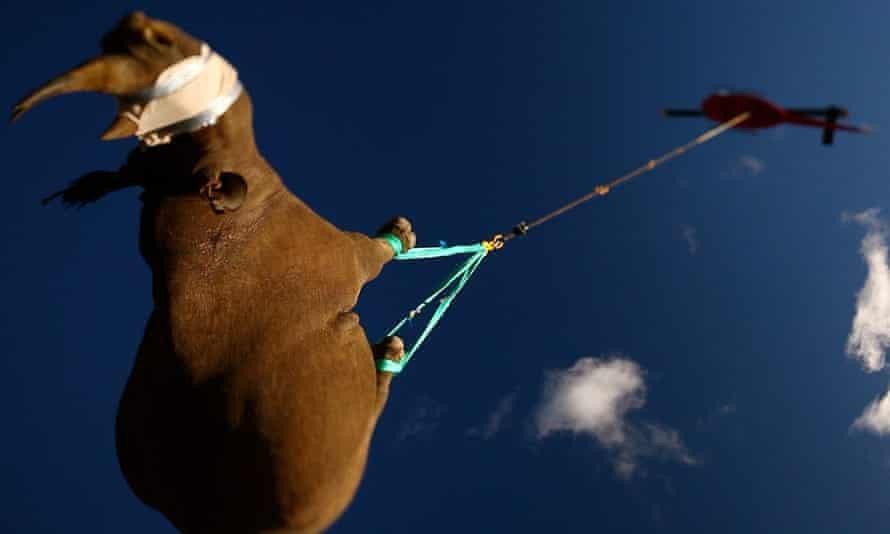 Các nghiên cứu kỳ quặc được vinh danh tại Ig Nobel 2021