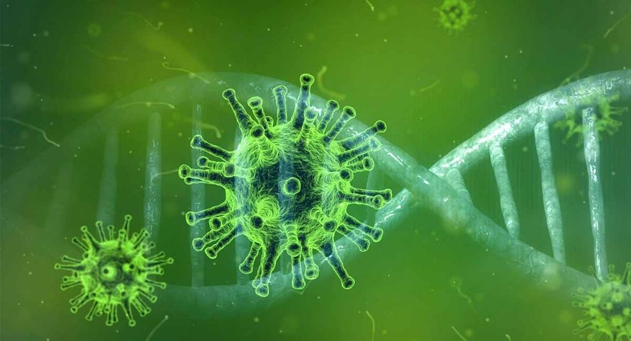 Chưa có bằng chứng virus Langya lây từ người sang người