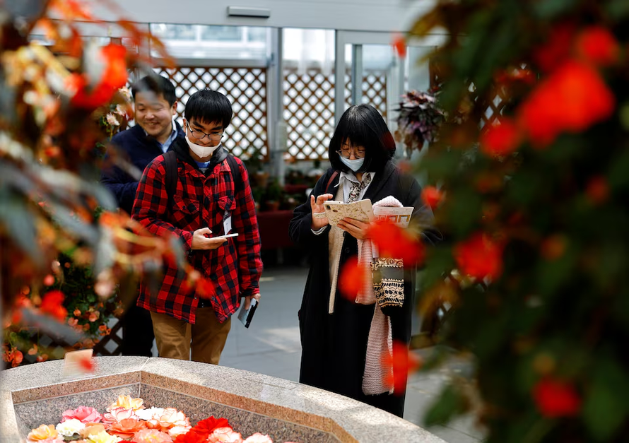 Nhờ AI tìm bạn đời 