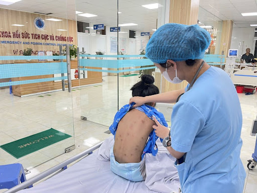 Sức khỏe 3 người bị ong đốt tại Hải Phòng đã ổn định