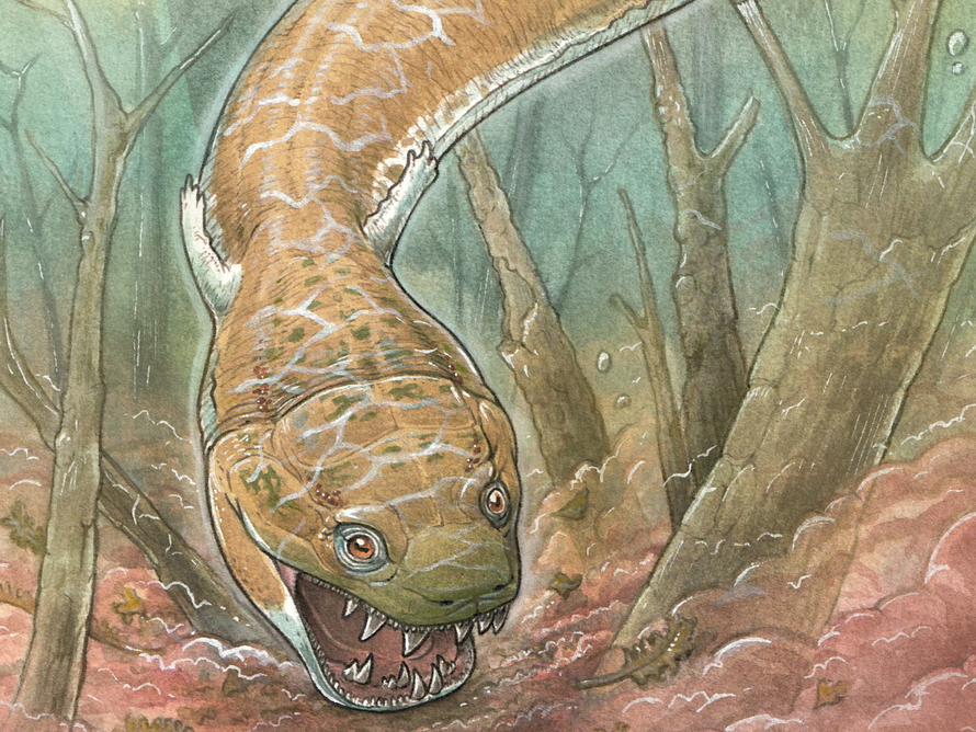 Phát hiện sinh vật giống kỳ nhông tồn tại trước khủng long