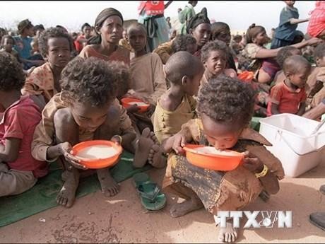 LHQ cảnh báo về nguy cơ đói nghèo và di cư trên quy mô chưa từng có