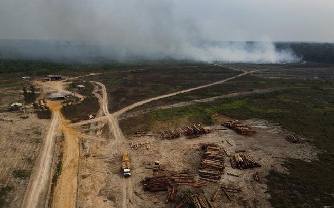 Lượng phát thải của Brazil cao nhất kể từ năm 2005