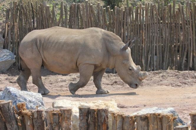 Công viên động vật hoang dã Pairi Daiza bảo vệ đa dạng sinh học