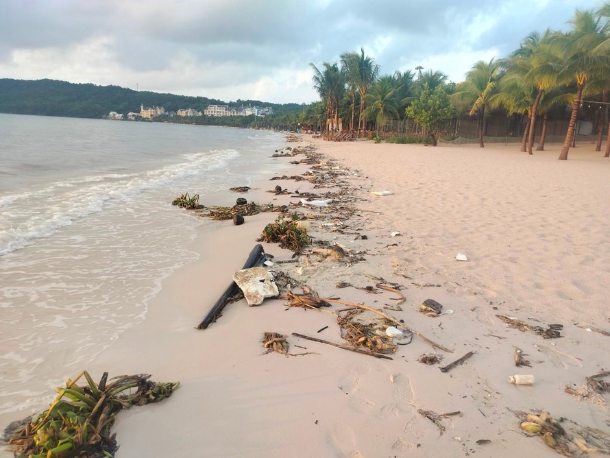 Những bãi biển ngập bèo, rong rêu, rác thải do gió mùa mang đến. 