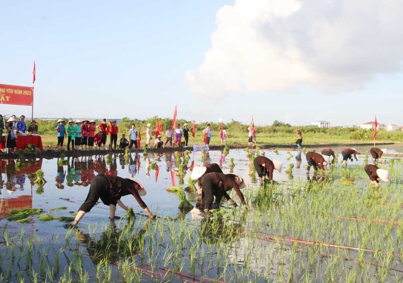 Quảng Ninh có thêm 5 Di sản văn hóa phi vật thể Quốc gia