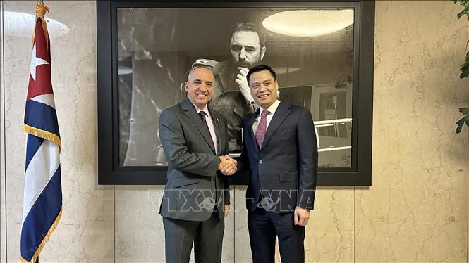 Việt Nam, Cuba thắt chặt hợp tác tại LHQ